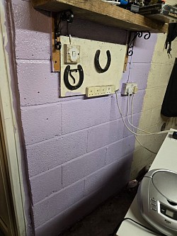 F